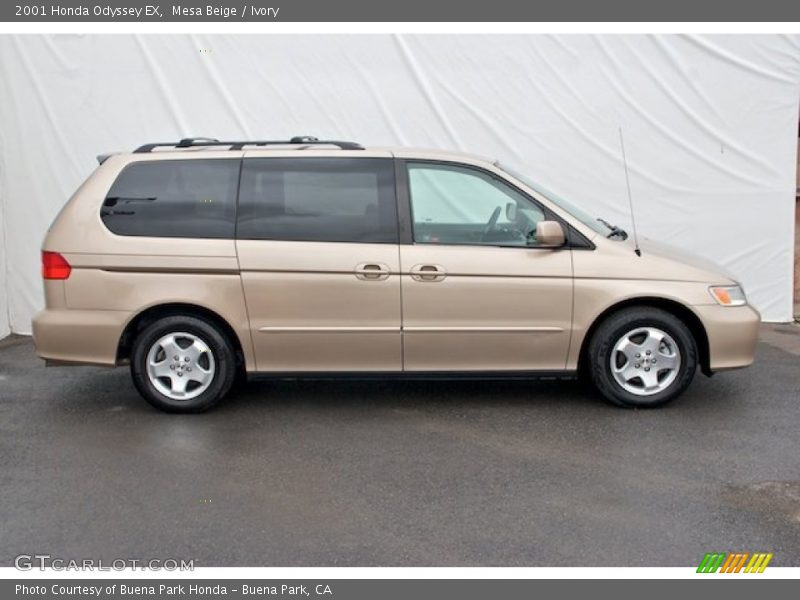 Mesa Beige / Ivory 2001 Honda Odyssey EX