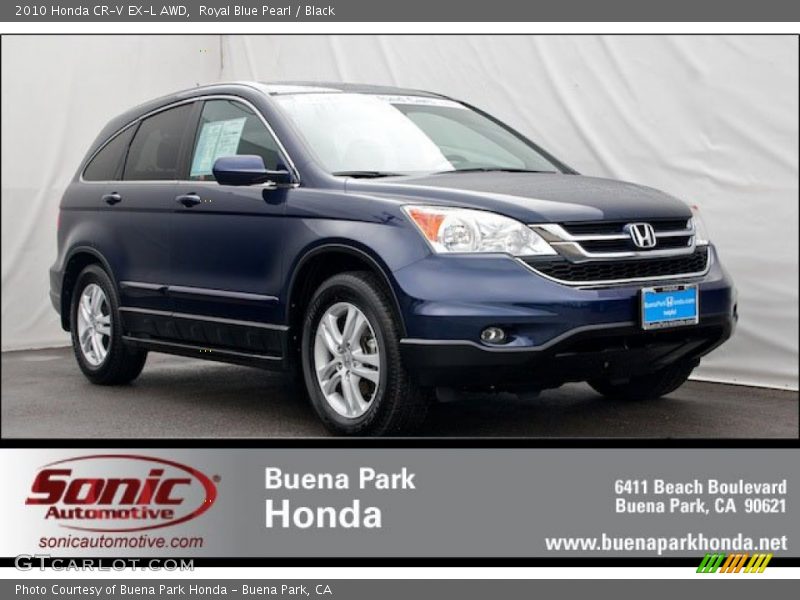 Royal Blue Pearl / Black 2010 Honda CR-V EX-L AWD