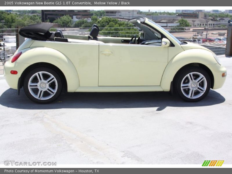 Mellow Yellow / Black 2005 Volkswagen New Beetle GLS 1.8T Convertible