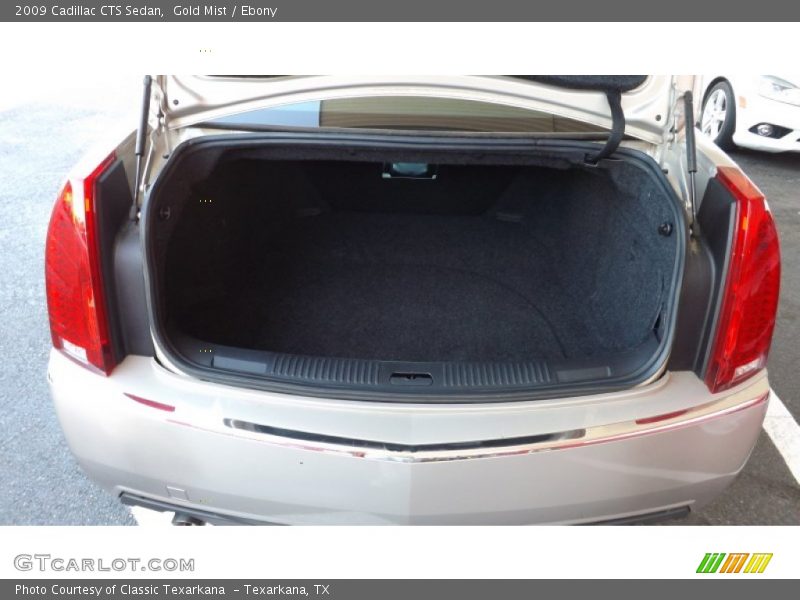Gold Mist / Ebony 2009 Cadillac CTS Sedan