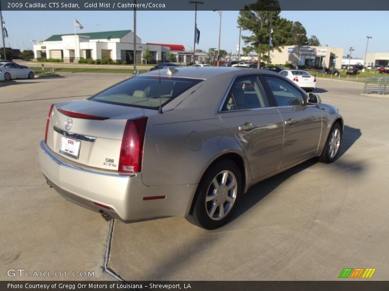 Gold Mist / Cashmere/Cocoa 2009 Cadillac CTS Sedan