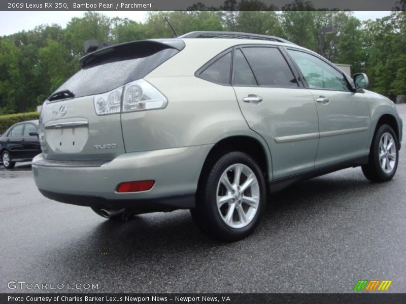 Bamboo Pearl / Parchment 2009 Lexus RX 350