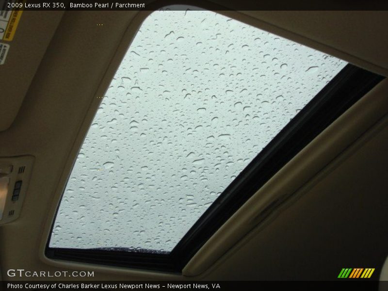 Bamboo Pearl / Parchment 2009 Lexus RX 350