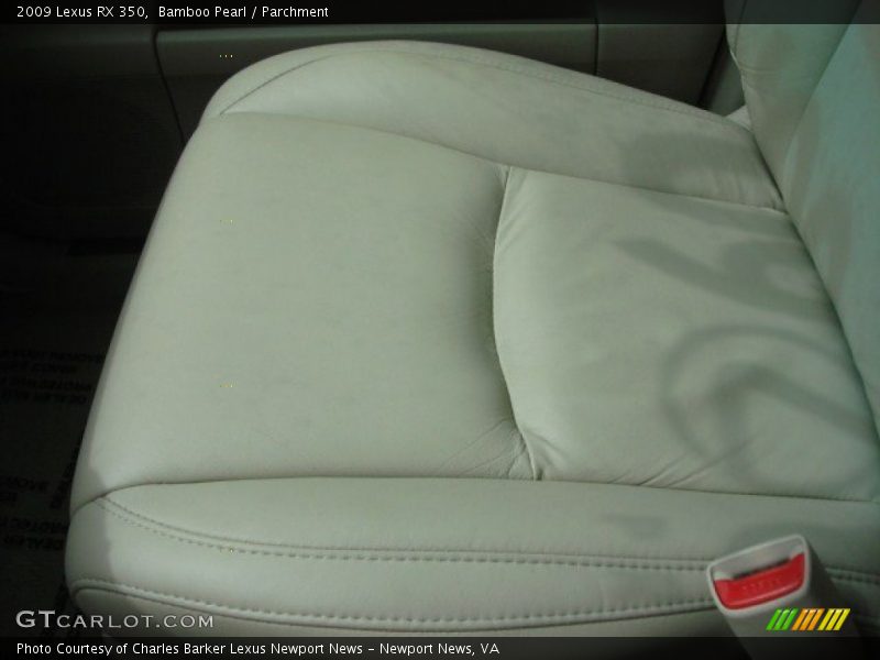 Bamboo Pearl / Parchment 2009 Lexus RX 350