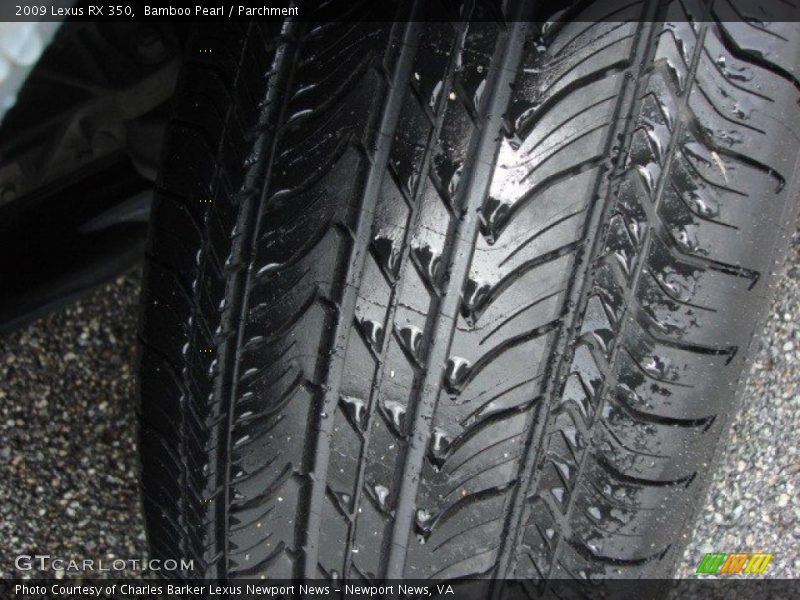 Bamboo Pearl / Parchment 2009 Lexus RX 350