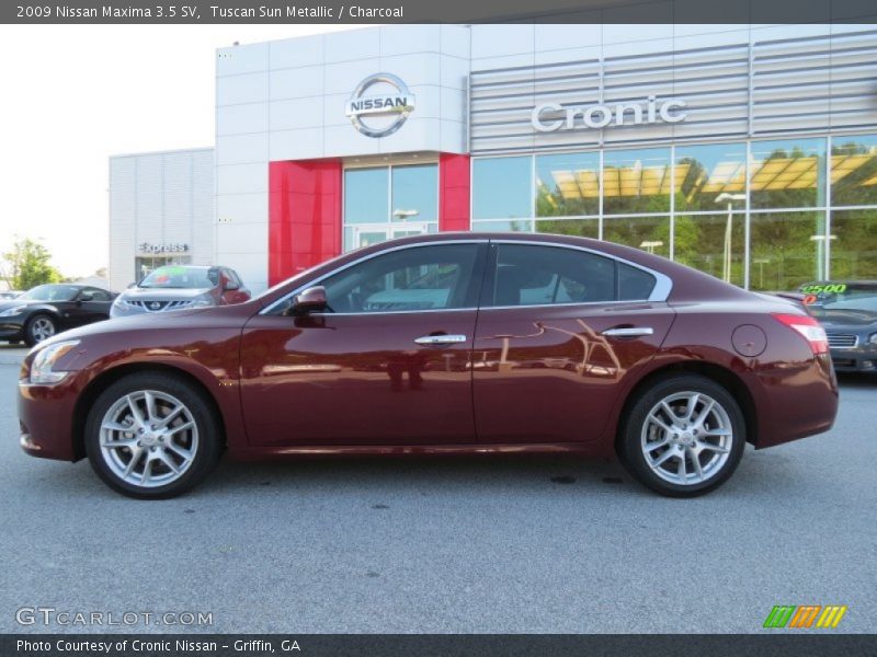 Tuscan Sun Metallic / Charcoal 2009 Nissan Maxima 3.5 SV