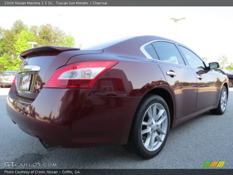 Tuscan Sun Metallic / Charcoal 2009 Nissan Maxima 3.5 SV