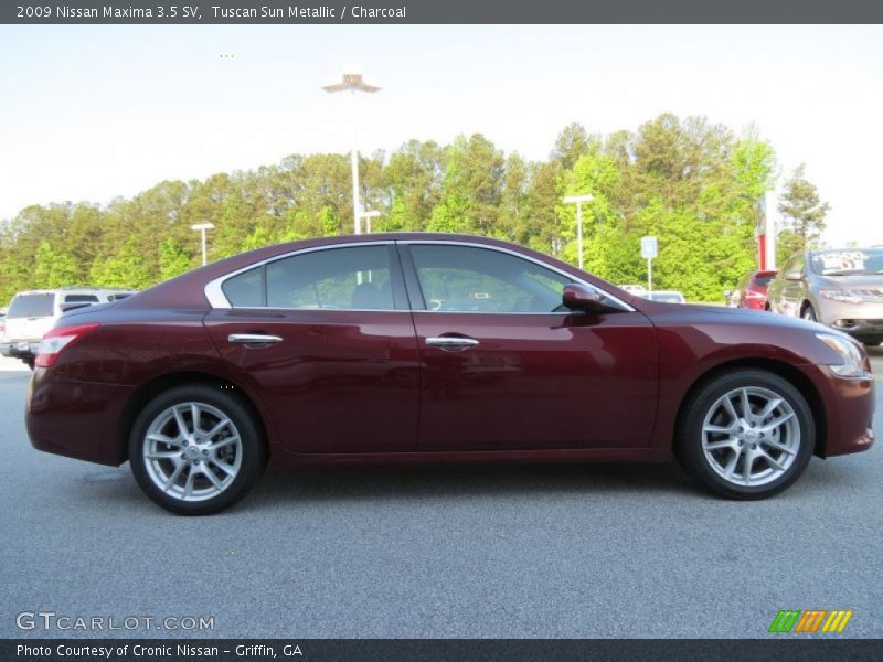 Tuscan Sun Metallic / Charcoal 2009 Nissan Maxima 3.5 SV