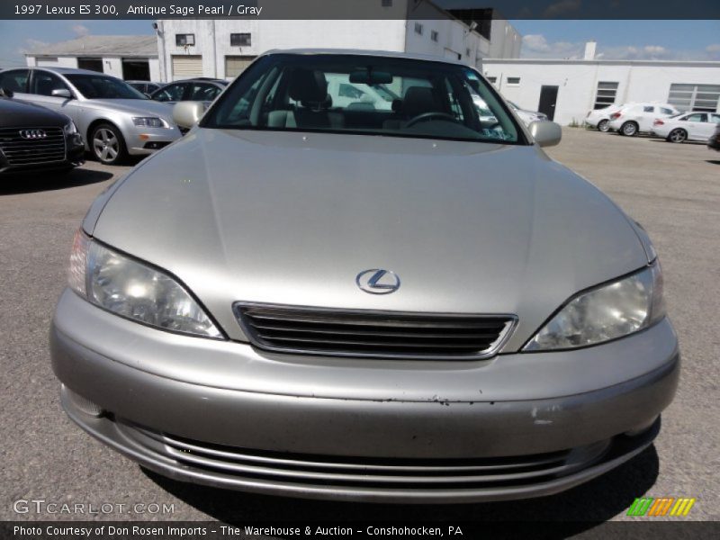 Antique Sage Pearl / Gray 1997 Lexus ES 300