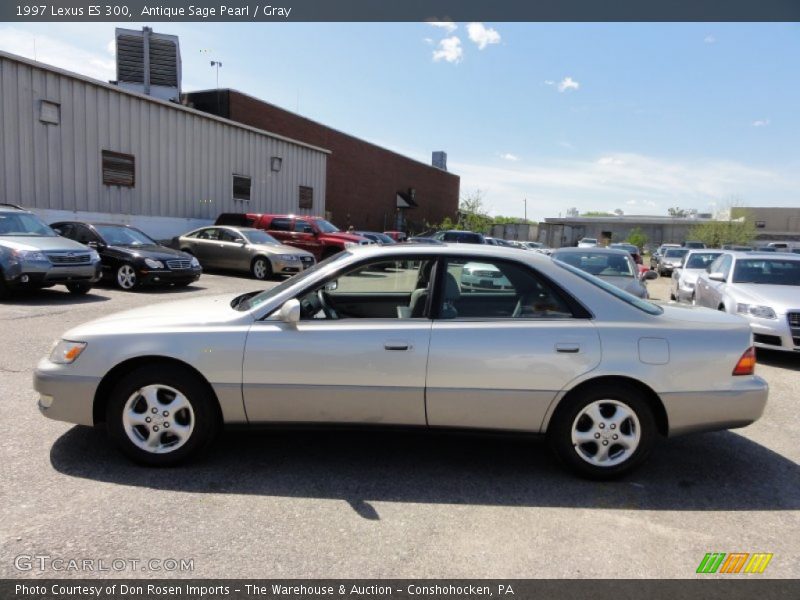 Antique Sage Pearl / Gray 1997 Lexus ES 300