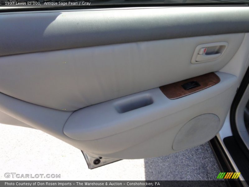 Antique Sage Pearl / Gray 1997 Lexus ES 300