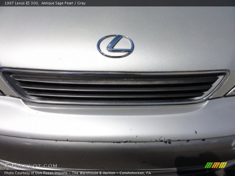 Antique Sage Pearl / Gray 1997 Lexus ES 300