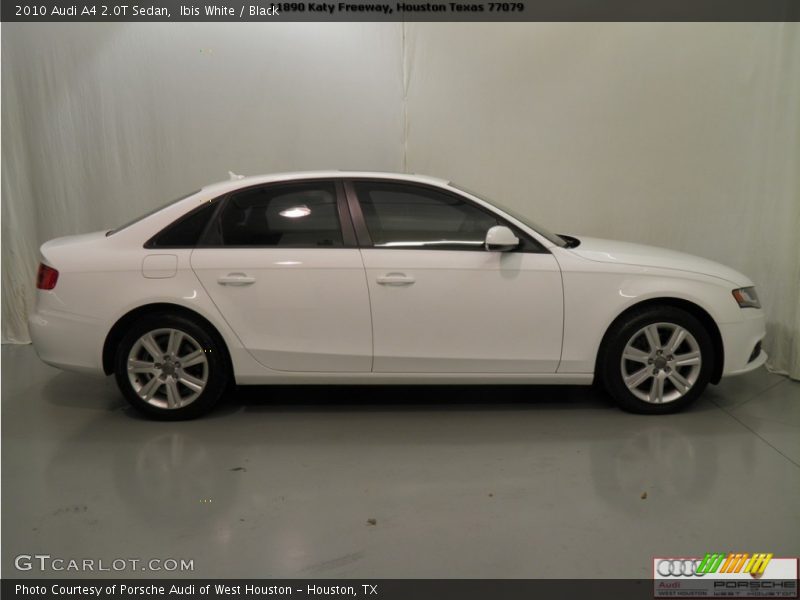 Ibis White / Black 2010 Audi A4 2.0T Sedan