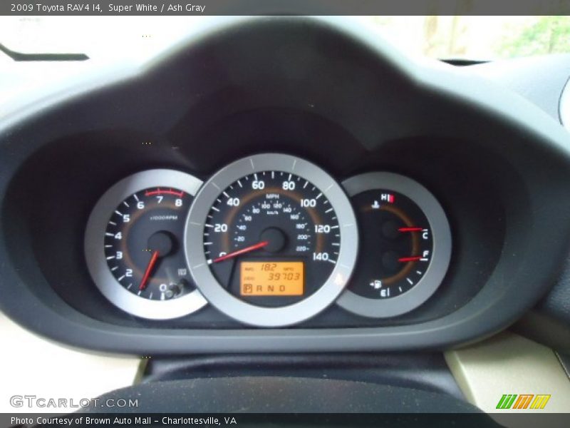 Super White / Ash Gray 2009 Toyota RAV4 I4