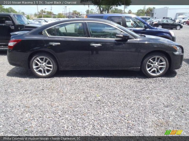 Super Black / Charcoal 2010 Nissan Maxima 3.5 SV