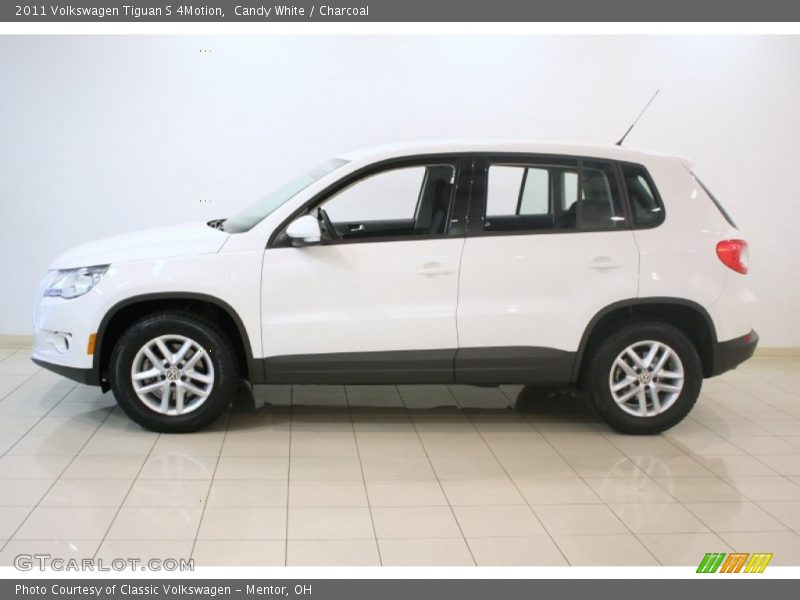 Candy White / Charcoal 2011 Volkswagen Tiguan S 4Motion