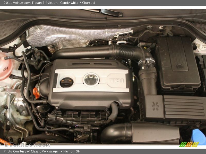 Candy White / Charcoal 2011 Volkswagen Tiguan S 4Motion