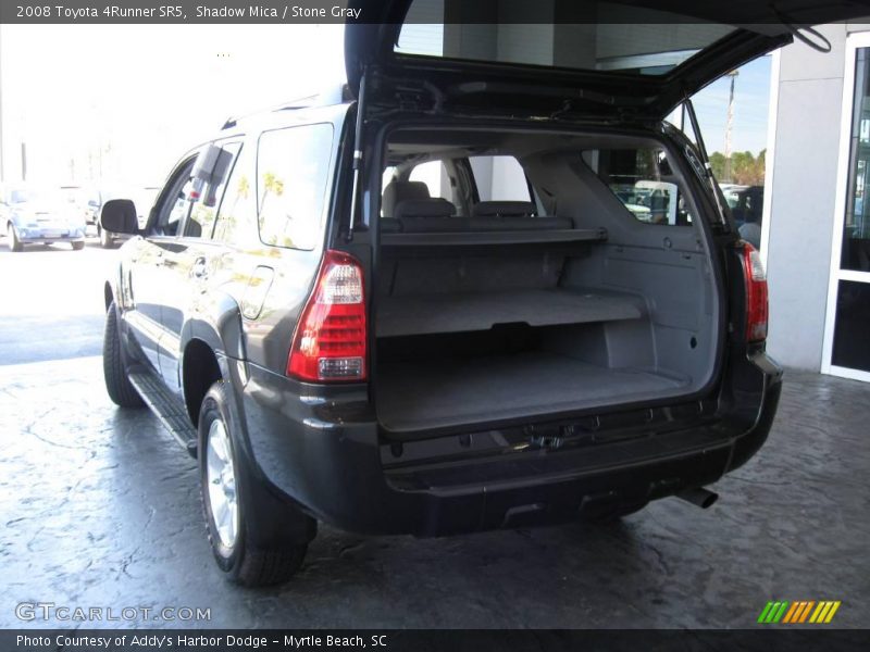 Shadow Mica / Stone Gray 2008 Toyota 4Runner SR5