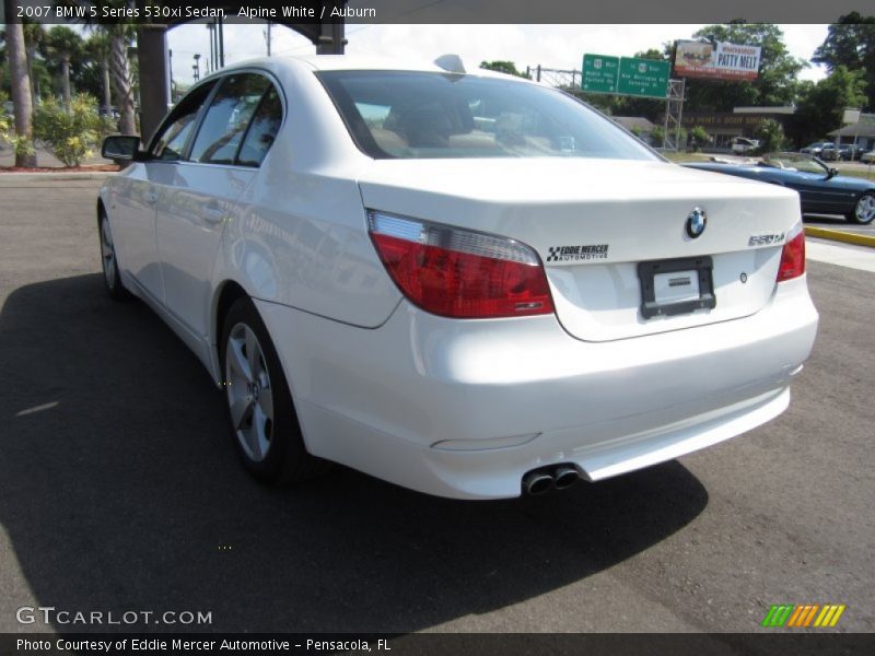 Alpine White / Auburn 2007 BMW 5 Series 530xi Sedan