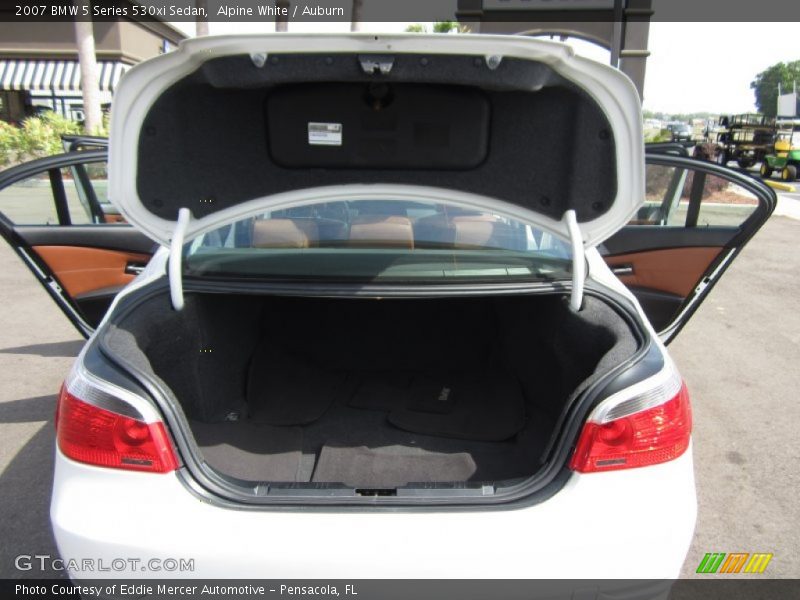 Alpine White / Auburn 2007 BMW 5 Series 530xi Sedan