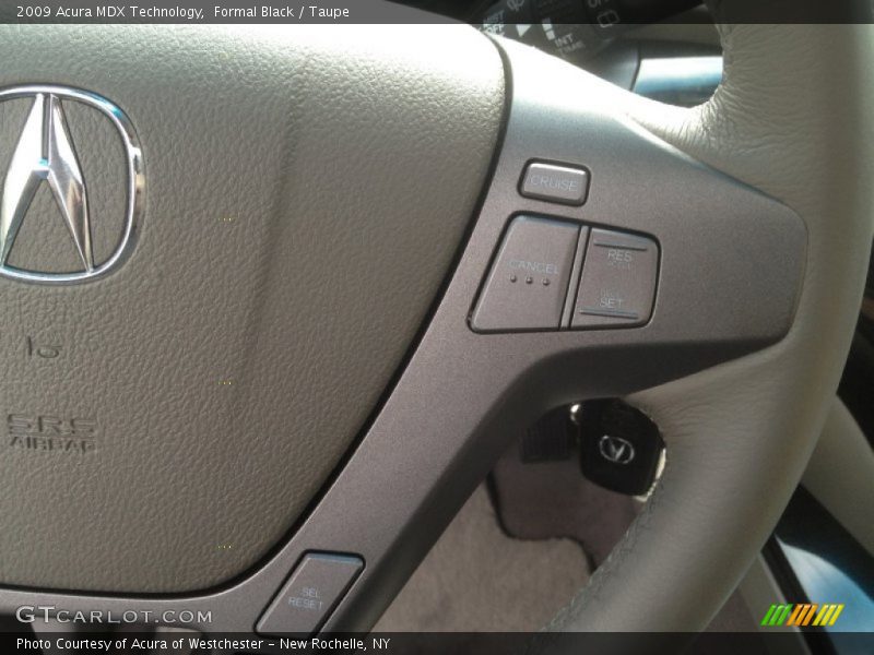Formal Black / Taupe 2009 Acura MDX Technology