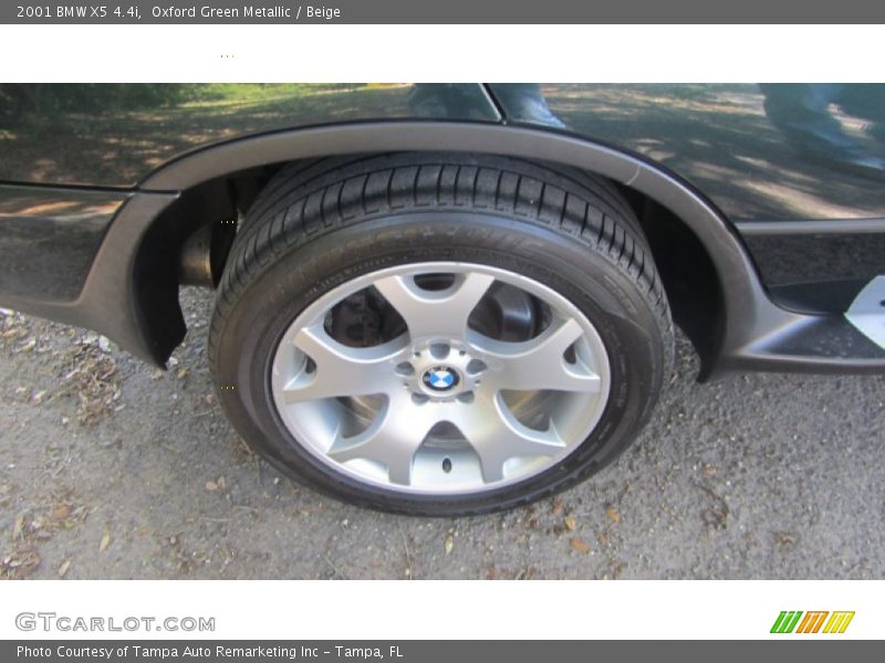 Oxford Green Metallic / Beige 2001 BMW X5 4.4i