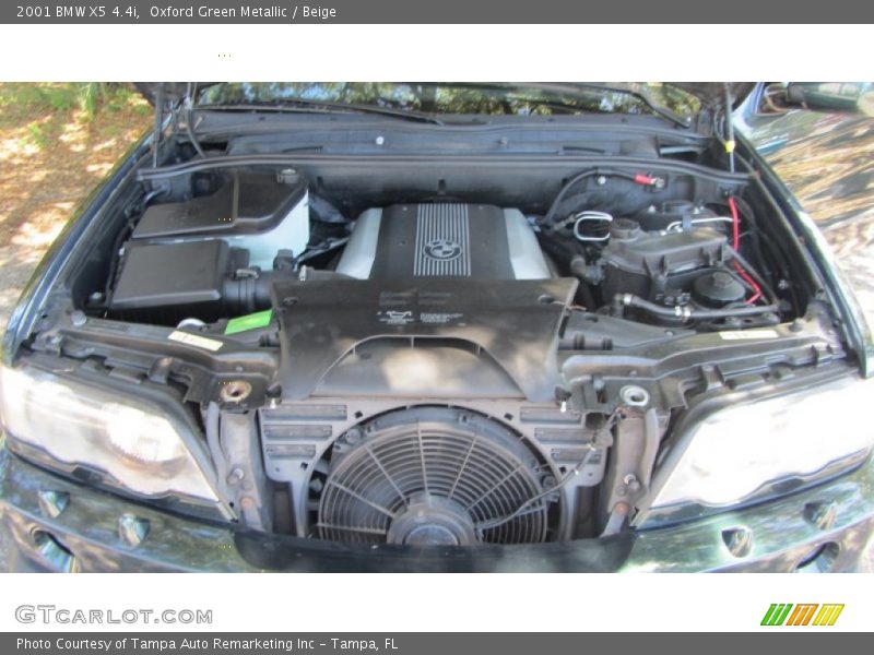 Oxford Green Metallic / Beige 2001 BMW X5 4.4i