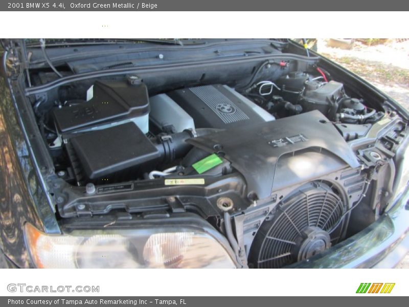 Oxford Green Metallic / Beige 2001 BMW X5 4.4i