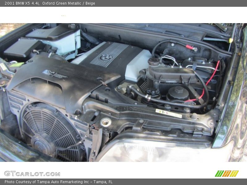Oxford Green Metallic / Beige 2001 BMW X5 4.4i