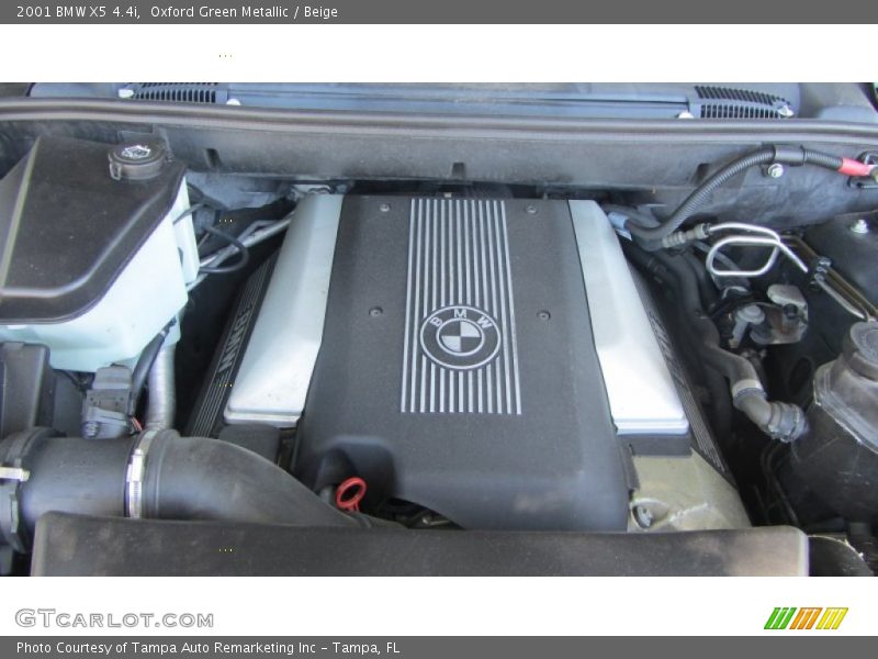 Oxford Green Metallic / Beige 2001 BMW X5 4.4i