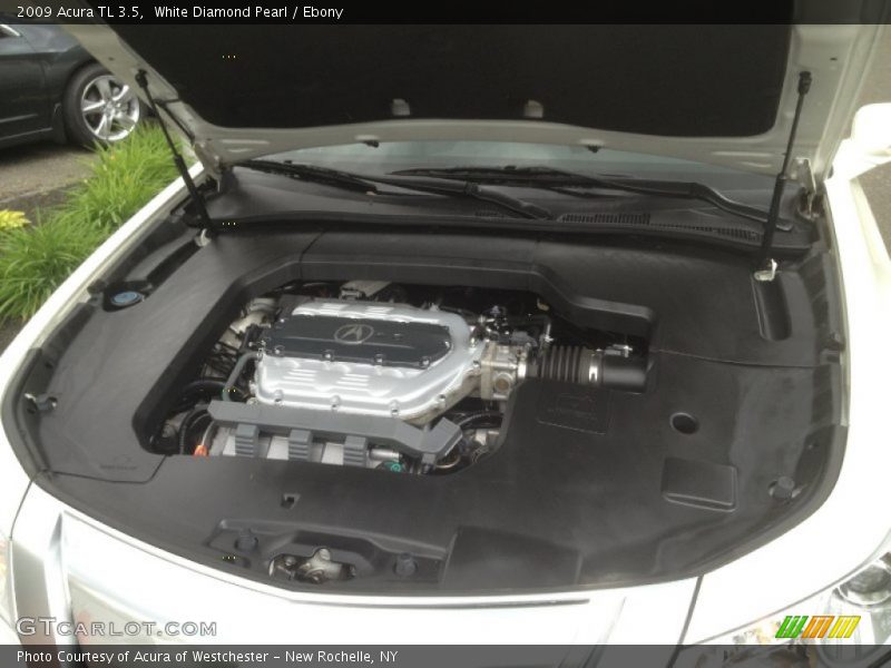 White Diamond Pearl / Ebony 2009 Acura TL 3.5