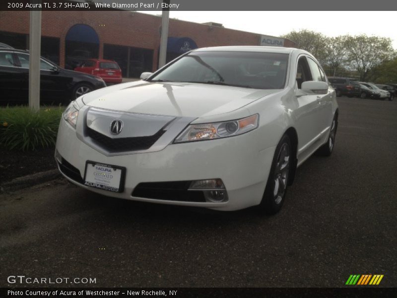 White Diamond Pearl / Ebony 2009 Acura TL 3.7 SH-AWD
