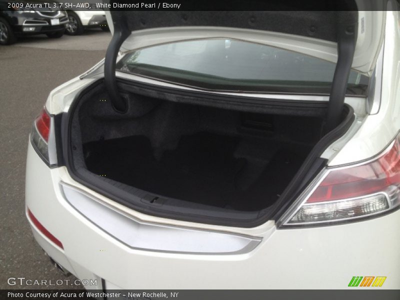White Diamond Pearl / Ebony 2009 Acura TL 3.7 SH-AWD