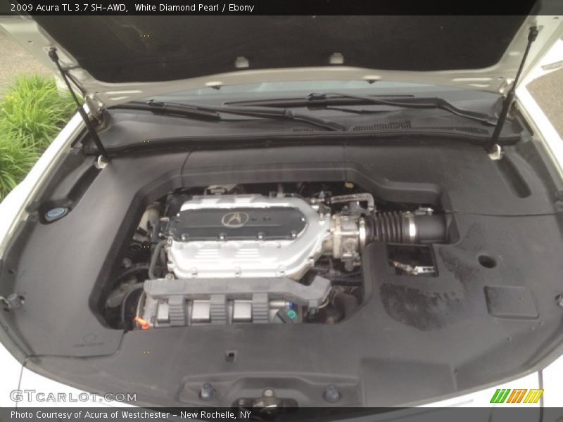 White Diamond Pearl / Ebony 2009 Acura TL 3.7 SH-AWD