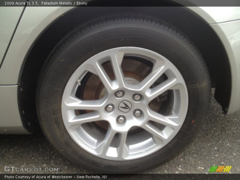 Palladium Metallic / Ebony 2009 Acura TL 3.5