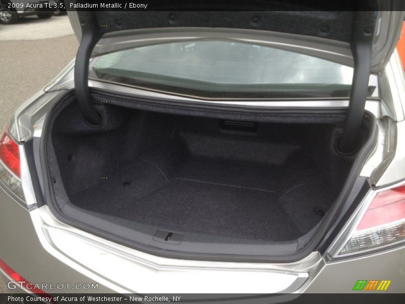 Palladium Metallic / Ebony 2009 Acura TL 3.5