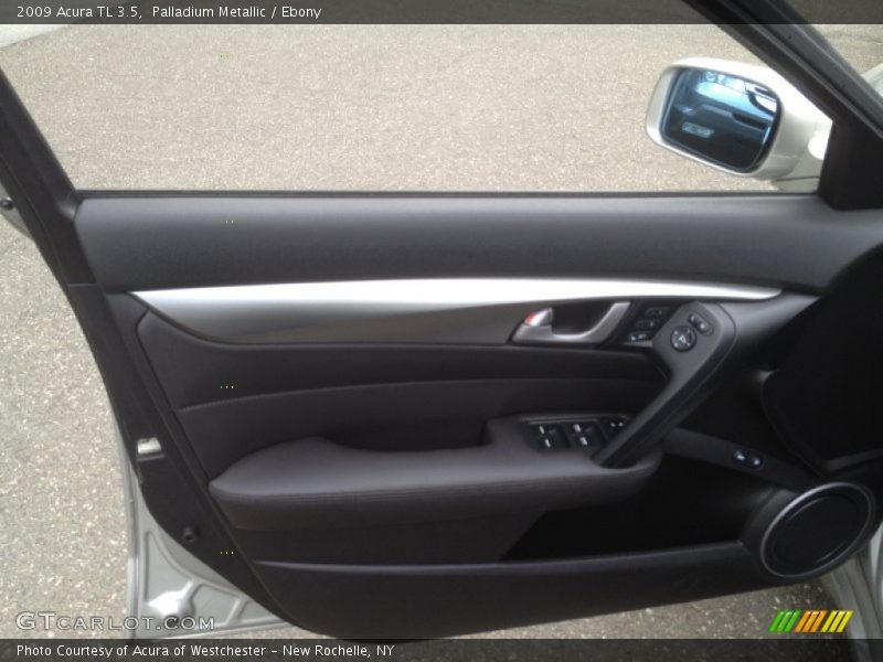 Palladium Metallic / Ebony 2009 Acura TL 3.5