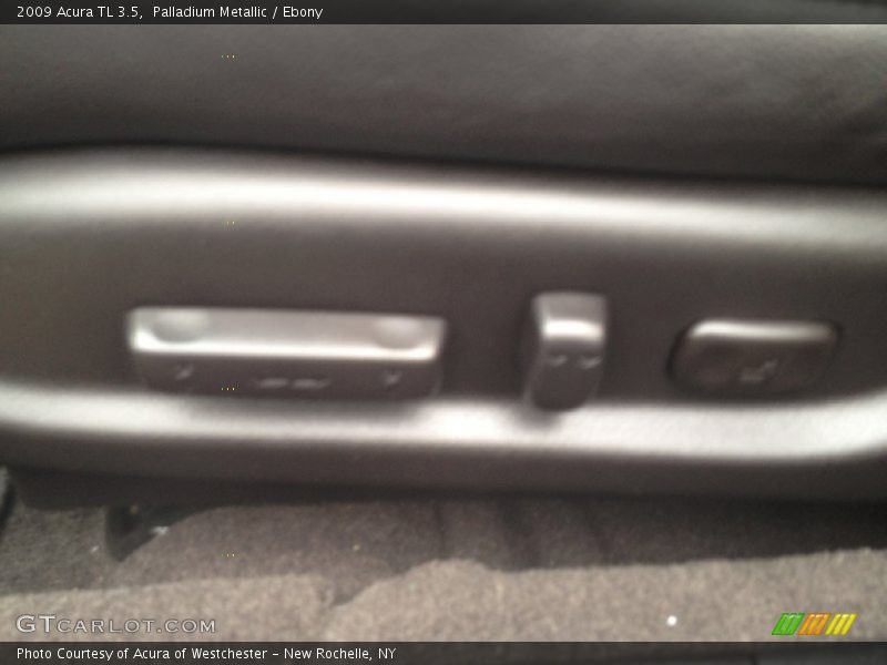 Palladium Metallic / Ebony 2009 Acura TL 3.5