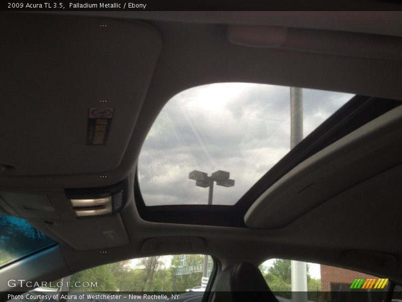 Palladium Metallic / Ebony 2009 Acura TL 3.5