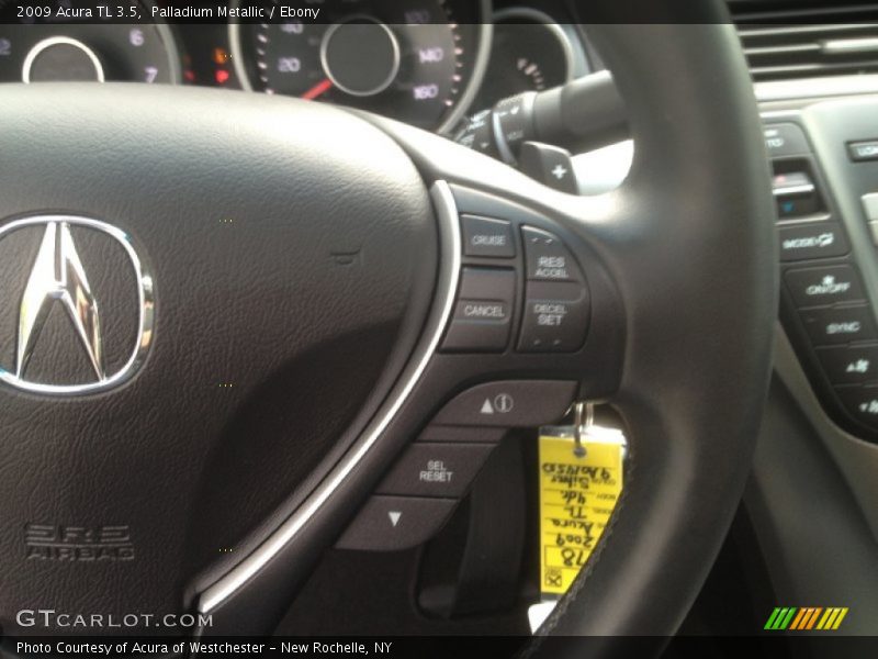 Palladium Metallic / Ebony 2009 Acura TL 3.5