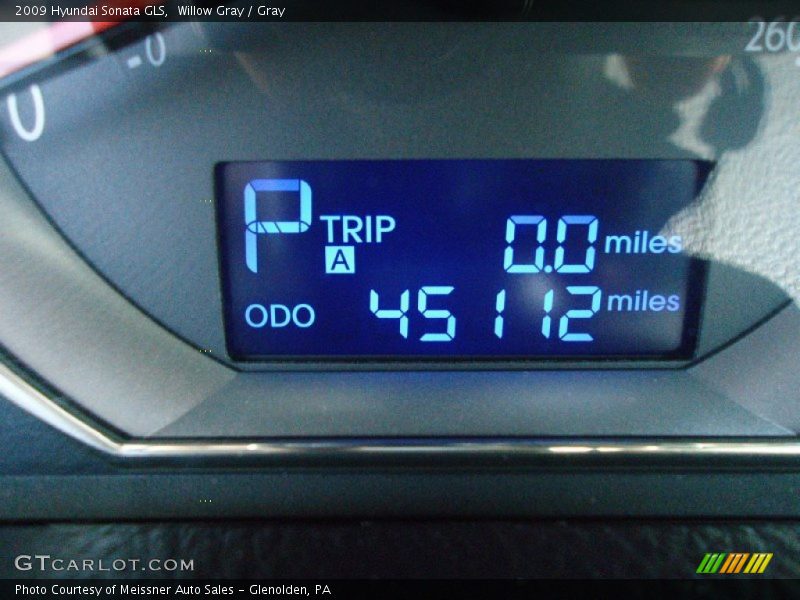 Willow Gray / Gray 2009 Hyundai Sonata GLS