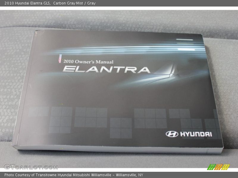 Carbon Gray Mist / Gray 2010 Hyundai Elantra GLS