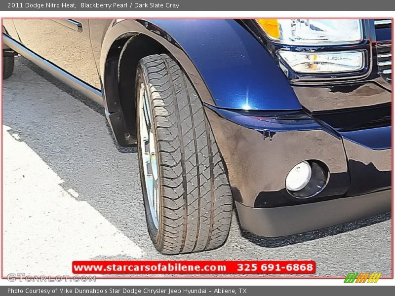 Blackberry Pearl / Dark Slate Gray 2011 Dodge Nitro Heat