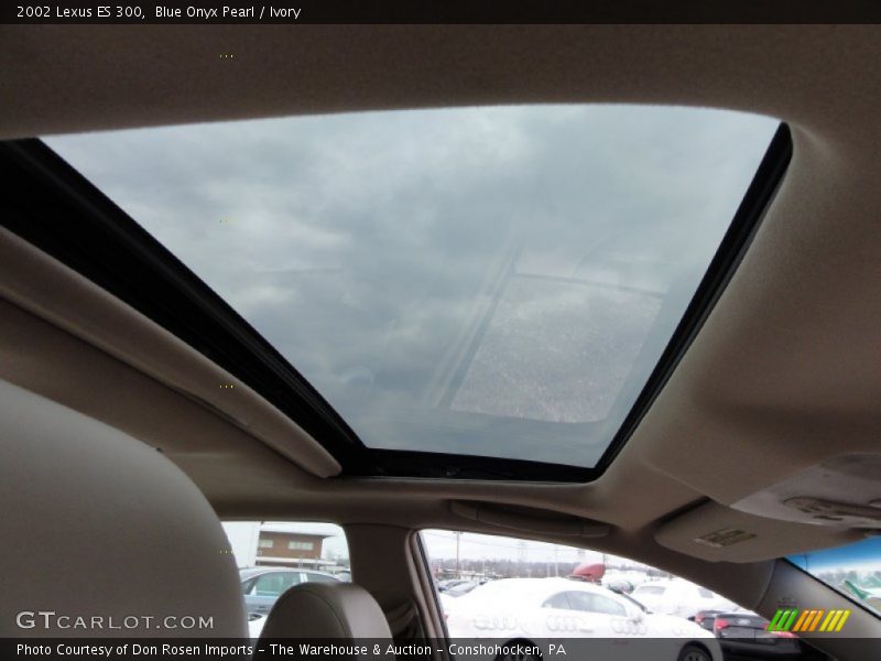 Blue Onyx Pearl / Ivory 2002 Lexus ES 300