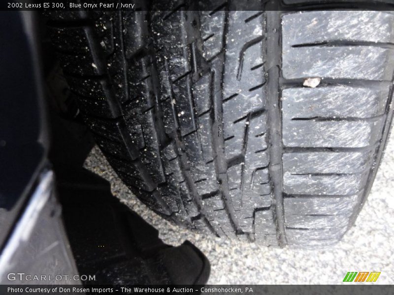 Blue Onyx Pearl / Ivory 2002 Lexus ES 300