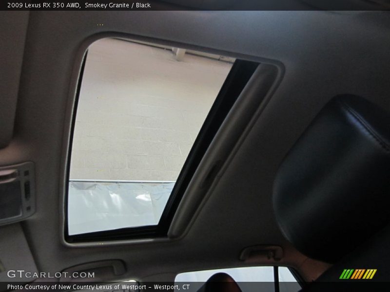 Smokey Granite / Black 2009 Lexus RX 350 AWD
