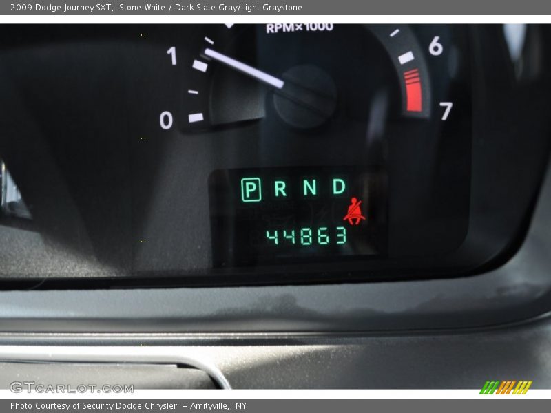 Stone White / Dark Slate Gray/Light Graystone 2009 Dodge Journey SXT