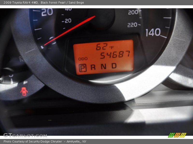 Black Forest Pearl / Sand Beige 2009 Toyota RAV4 4WD