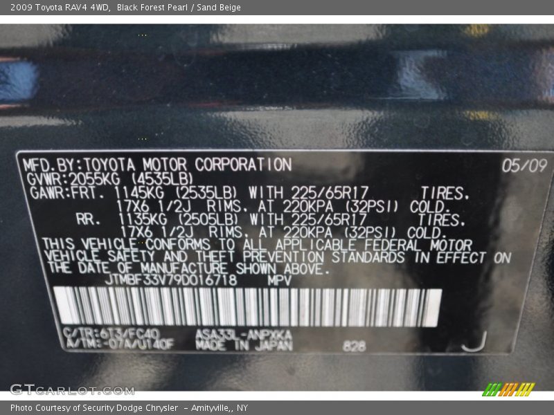 Black Forest Pearl / Sand Beige 2009 Toyota RAV4 4WD