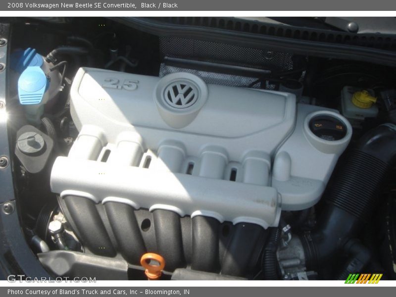 Black / Black 2008 Volkswagen New Beetle SE Convertible